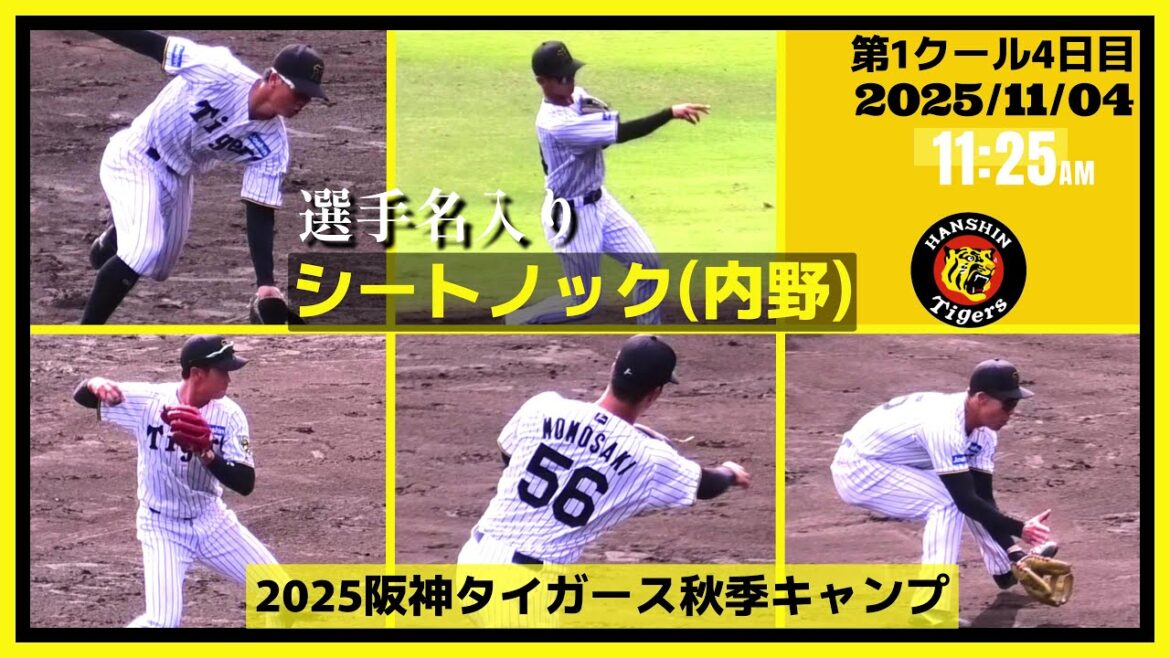 【≪2025阪神タイガース秋季キャンプ(第1クール4日目)/シートノック(選手名入り/内野編)≫来季の一軍定着を狙う若虎たち!内野陣シートノック】2025/11/04阪神タイガース 【≪2025阪神タイガース秋季キャンプ(第1クール4日目)/シートノック(選手名入り/内野編)≫来季の一軍定着を狙う若虎たち!内野陣シートノック】2025/11/04阪神タイガース