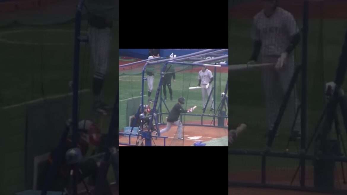 中山礼都のフリーバッティングする姿（横浜DeNAベイスターズ 対 読売ジャイアンツ 2024年9月25日）　#打撃練習 #中山礼都　#巨人練習