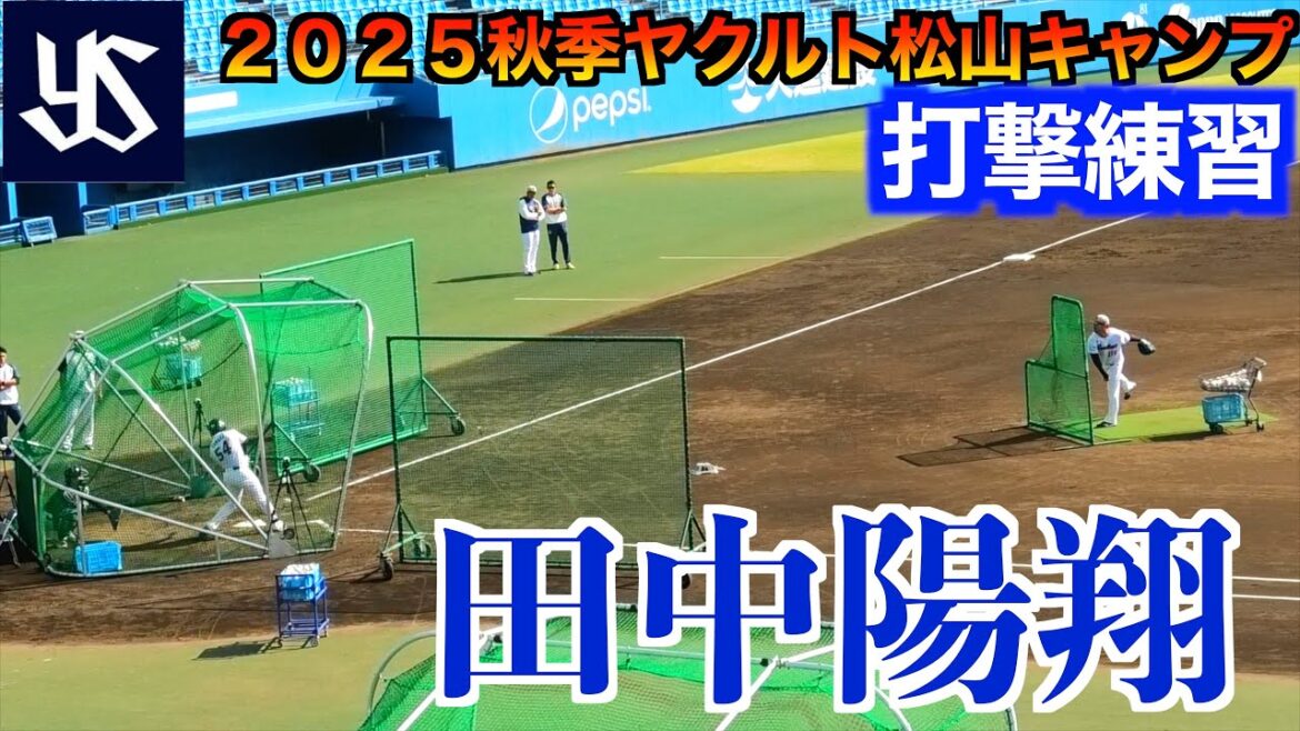 【期待の大型ショート】田中陽翔（健大高崎＜甲＞東京ヤクルトスワローズ）打撃練習！【２０２５秋季東京ヤクルトスワローズ松山キャンプ】