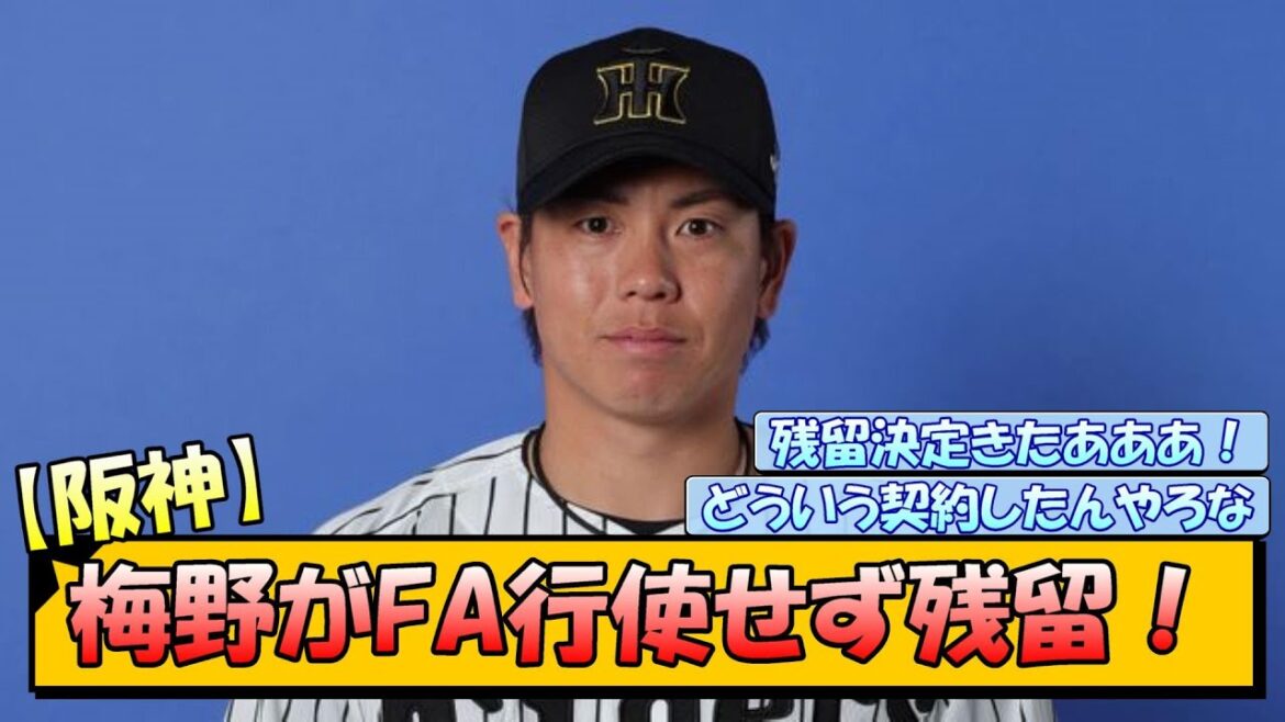 【阪神】梅野がFA行使せず残留！