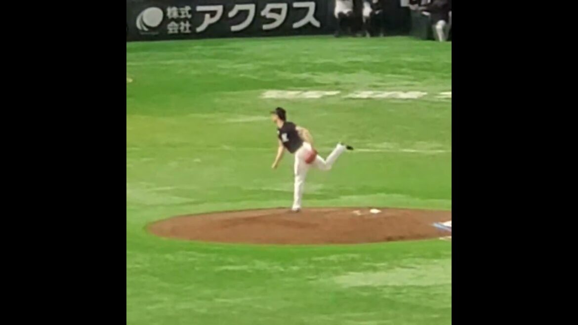 20250330　さらなる高みへ、種市篤暉の投球練習　#shorts　千葉ﾛｯﾃﾏﾘｰﾝｽﾞ@みずほPayPayﾄﾞｰﾑ福岡･ﾗｲﾄ外野