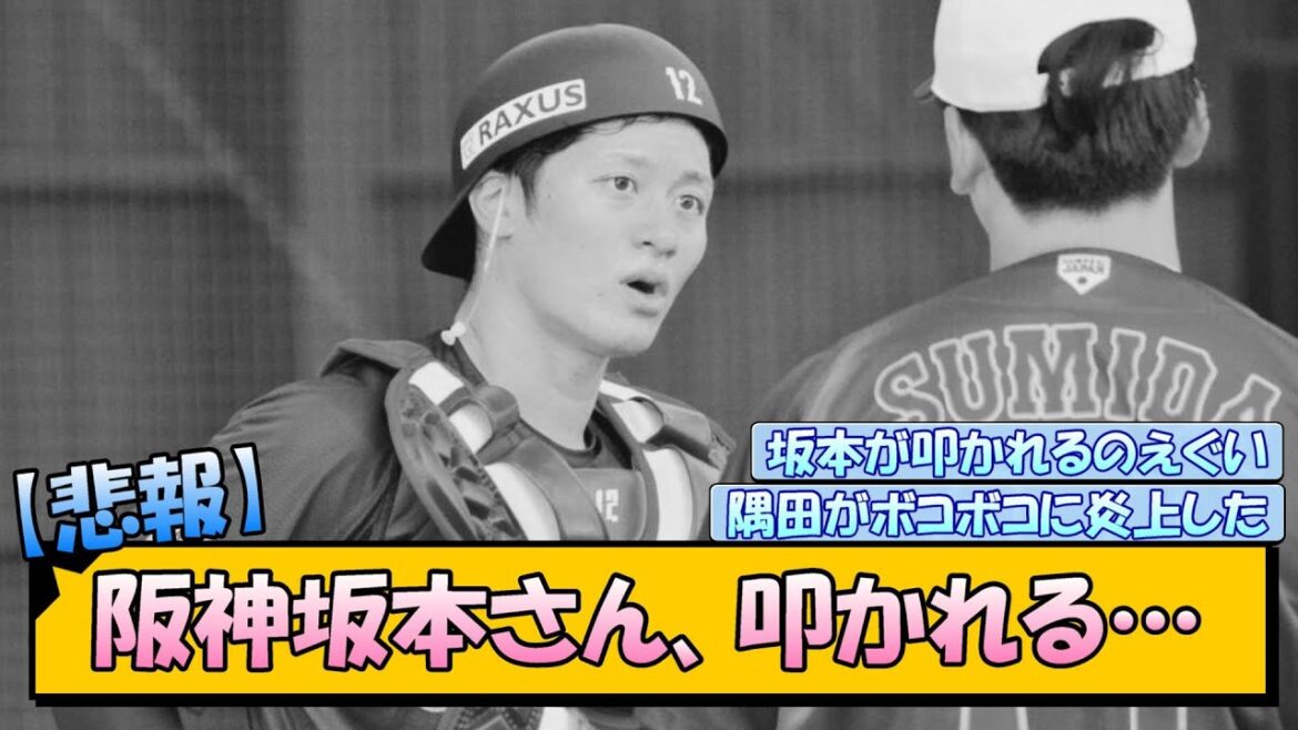 【悲報】阪神坂本さん、叩かれる…