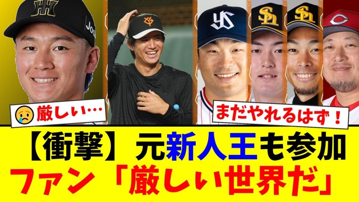 【衝撃】元巨人・高橋礼、阪神ドラ1森木大智も…トライアウト参加選手が豪華すぎると話題に。ファンからは「厳しすぎる」「まだやれる」と様々な声が噴出。【プロ野球ファンの反応】
