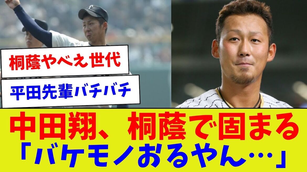 【高校で場外ボコボコ打ってた平田良介】中田翔、桐蔭で固まる「バケモノおるやん…」【野球情報】【2ch 5ch】【なんJ なんG反応】【野球スレ】