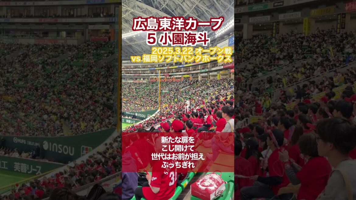 【広島東洋カープ】5小園海斗選手のテーマ【応援歌】#広島東洋カープ  #carp #小園海斗 #shorts