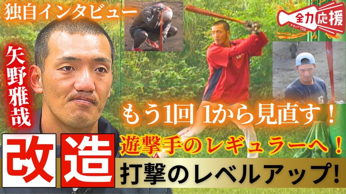 【選手直撃シリーズ#15】今季の悔しさを糧に来季躍進を誓う矢野雅哉🔥日南で課題のバッティングに向き合う!『競争は始まっている』【球団認定】カープ全力応援チャンネル 【選手直撃シリーズ#15】今季の悔しさを糧に来季躍進を誓う矢野雅哉🔥日南で課題のバッティングに向き合う!『競争は始まっている』【球団認定】カープ全力応援チャンネル