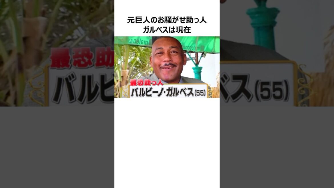 【すっかり丸くなった】ガルベスに関する興味深い雑学 【すっかり丸くなった】ガルベスに関する興味深い雑学