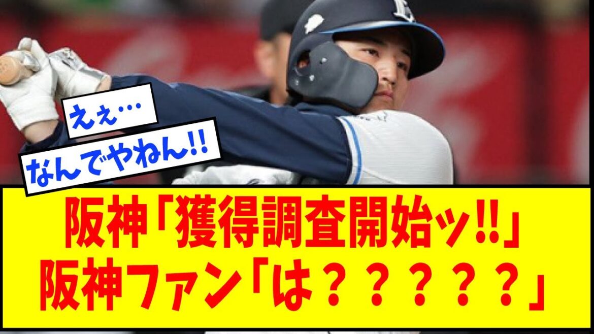 阪神「獲得調査開始ッ‼」→阪神ファン「は？？？？？」【なんJ反応】【ネットの反応】