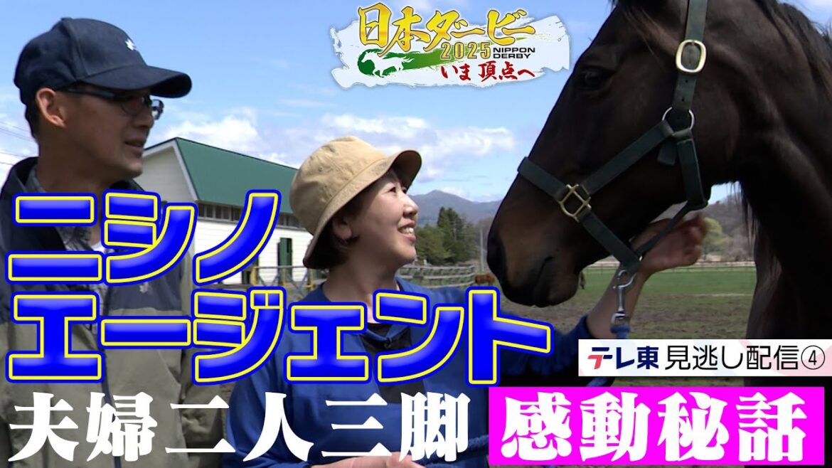 【公式】日高の小さな牧場からダービーへ 夫婦二人三脚で掴んだ夢への切符ニシノエージェント｜日本ダービー2025 いま頂点へ