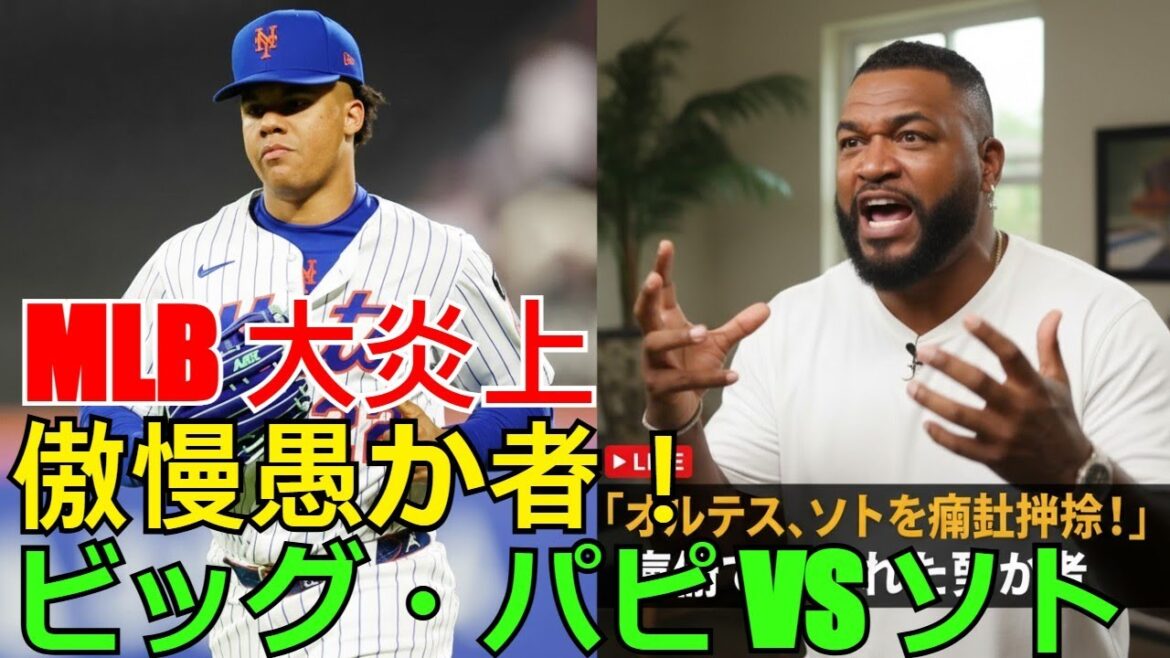 【ホットニュース】【MLB大炎上】ビッグ・パピがフアン・ソトを「傲慢愚か者」と公開処刑！ドミニカの子供がOhtaniに熱狂する理由とメッツファン離反の真相