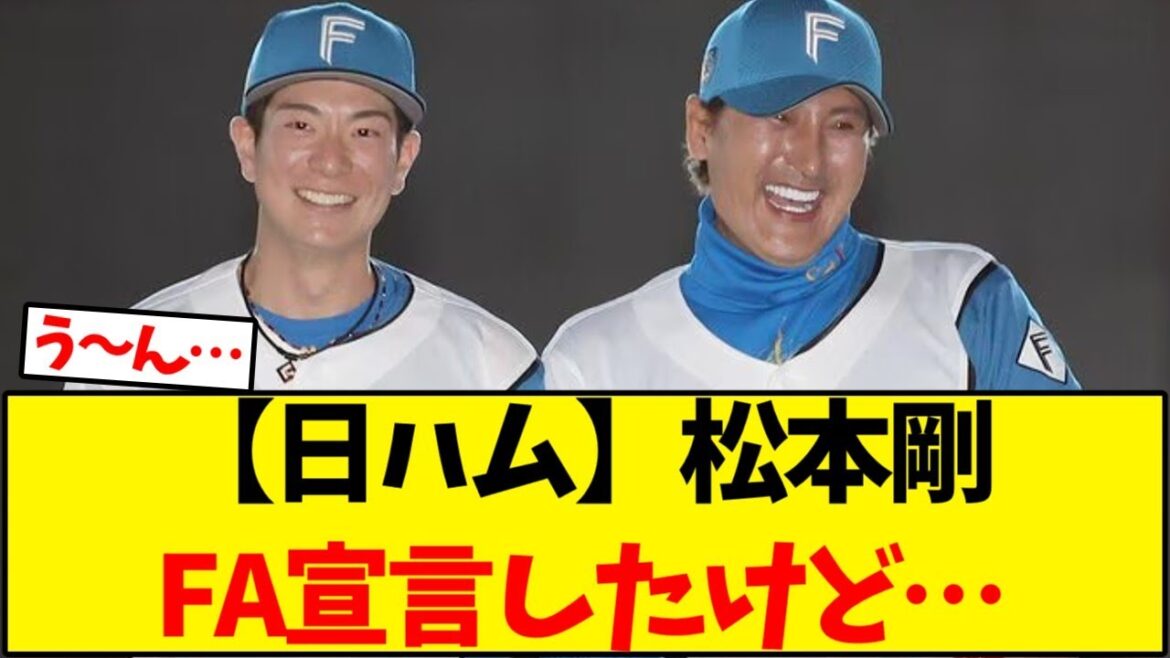 【日本ハムファイターズ】松本剛ガチでFA宣言したけど…【野球反応集】