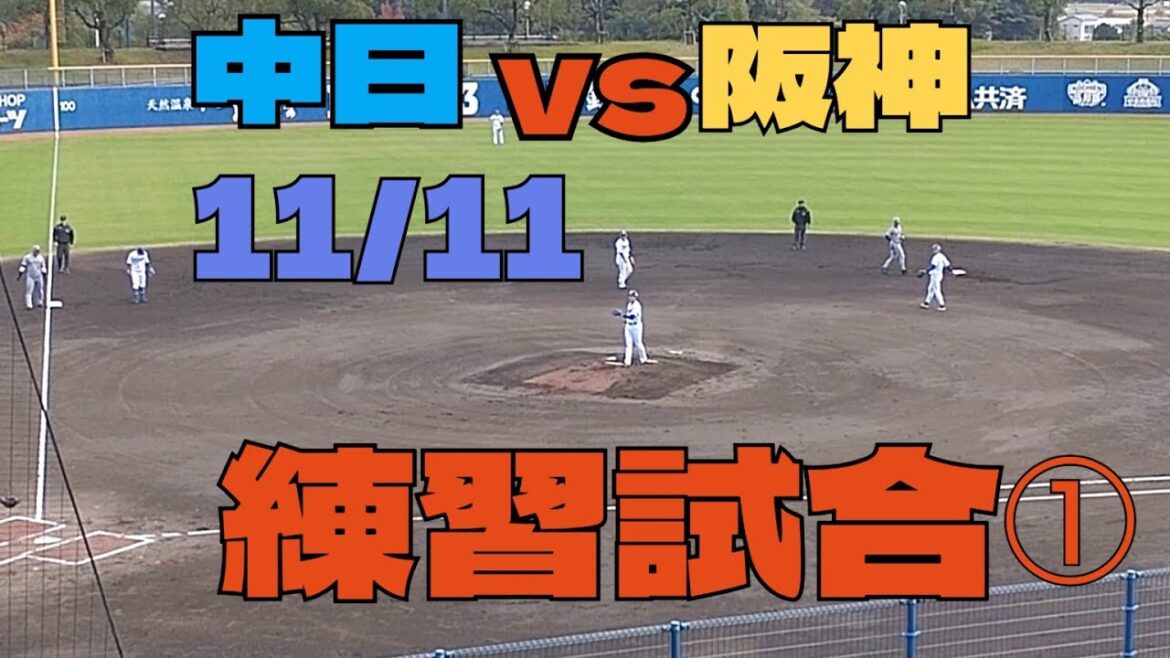 11/11　中日ドラゴンズvs阪神タイガース　練習試合①#阪神タイガース #阪神 #プロ野球 #野球 #野球ニュース#秋季キャンプ #ショート #ショート動画 #キャッチャー #ピッチャー #守備