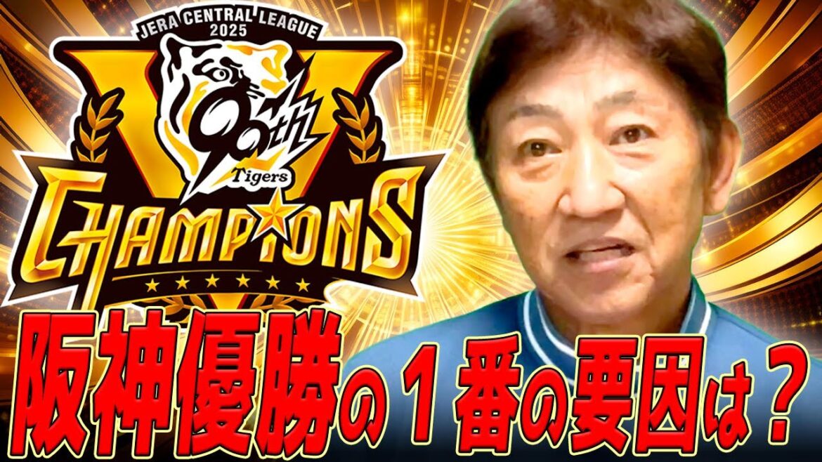 来季はどうなる？【11/7】