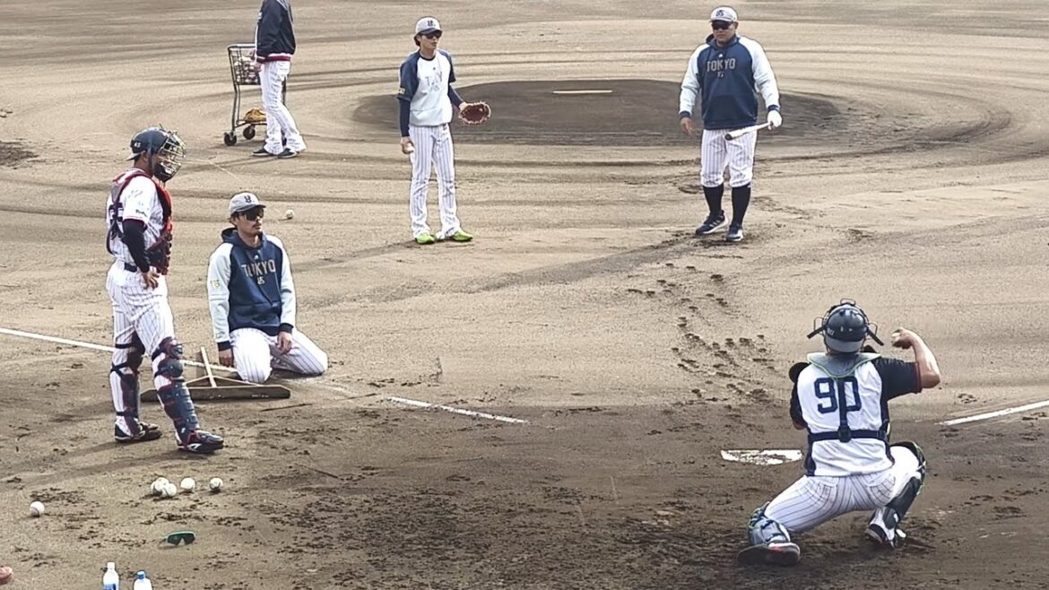 2025年東京ヤクルトスワローズ秋季キャンプ 坊っちゃんスタジアム出発、マドンナスタジアム 11/11松山中央公園