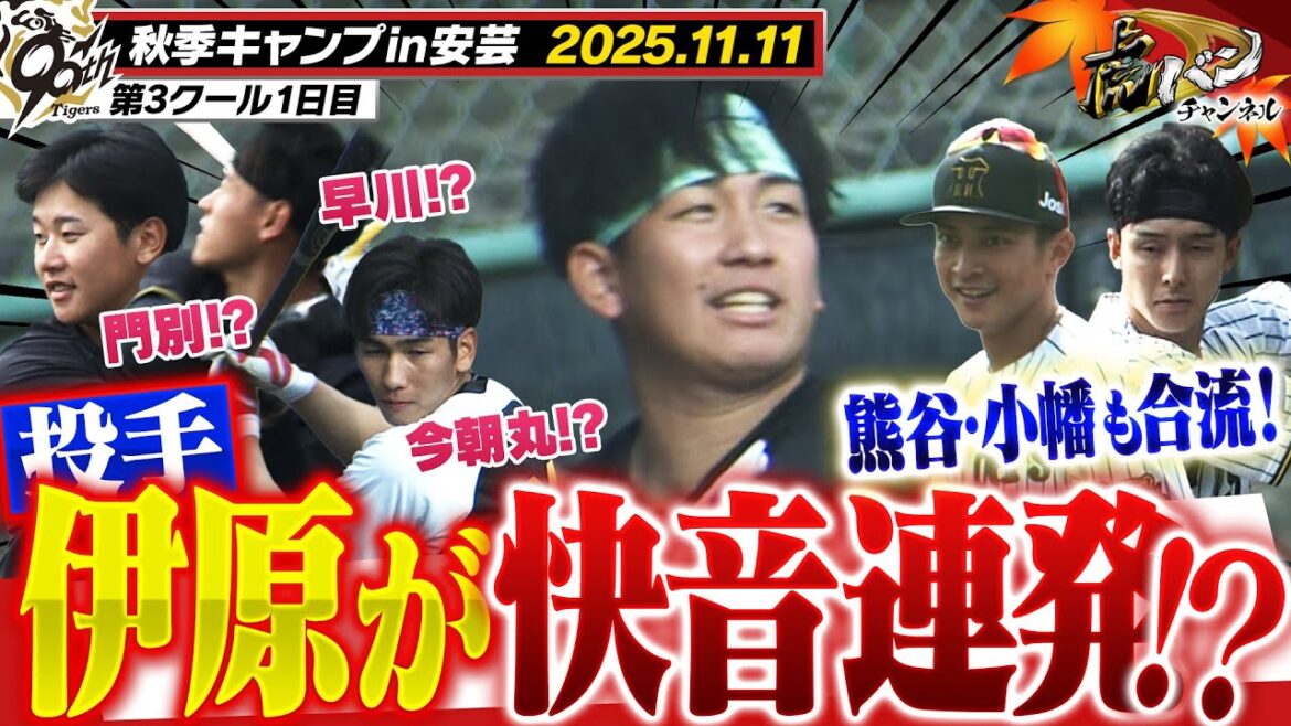 【11月11日秋季キャンプ】快音響かせるのは…伊原！？投手陣が打ちまくる！！阪神タイガース密着！応援番組「虎バン」ABCテレビ公式チャンネル