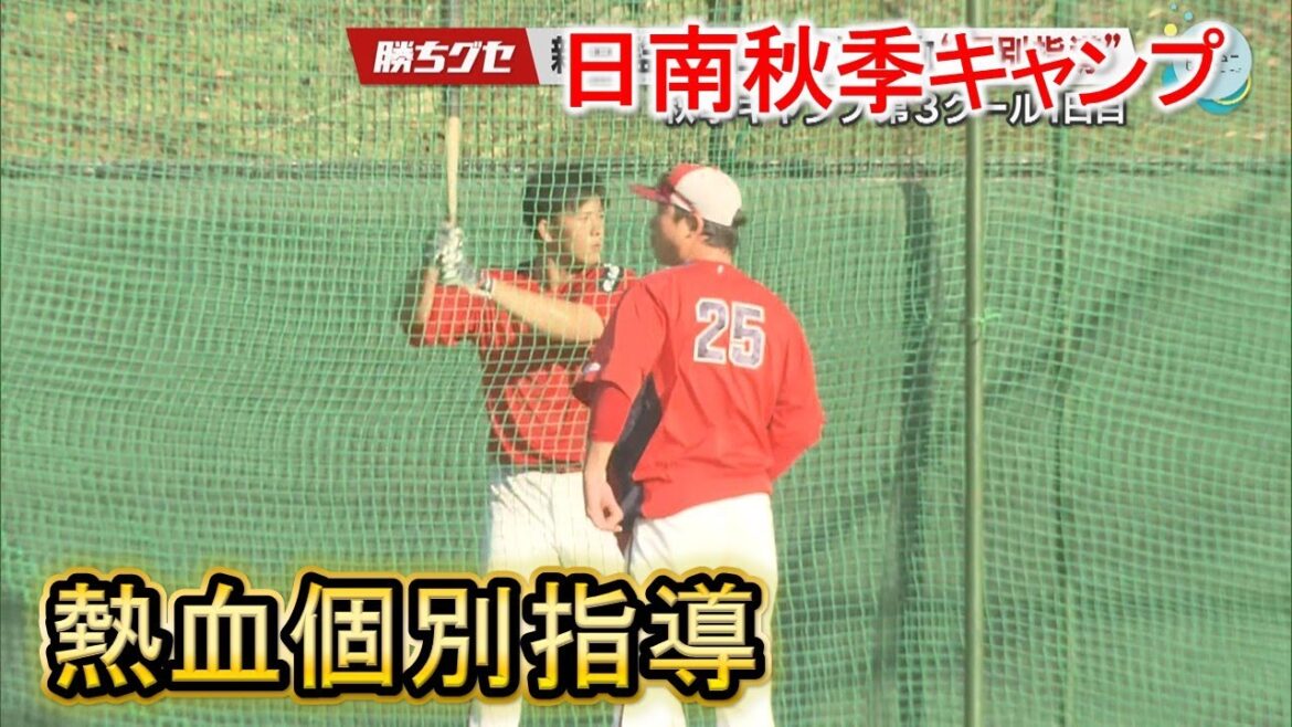 【Carp】日南秋季キャンプ 二俣＆仲田に個別指導｜二俣翔一｜仲田侑仁｜勝ちグセ｜カープ｜ピタニュー