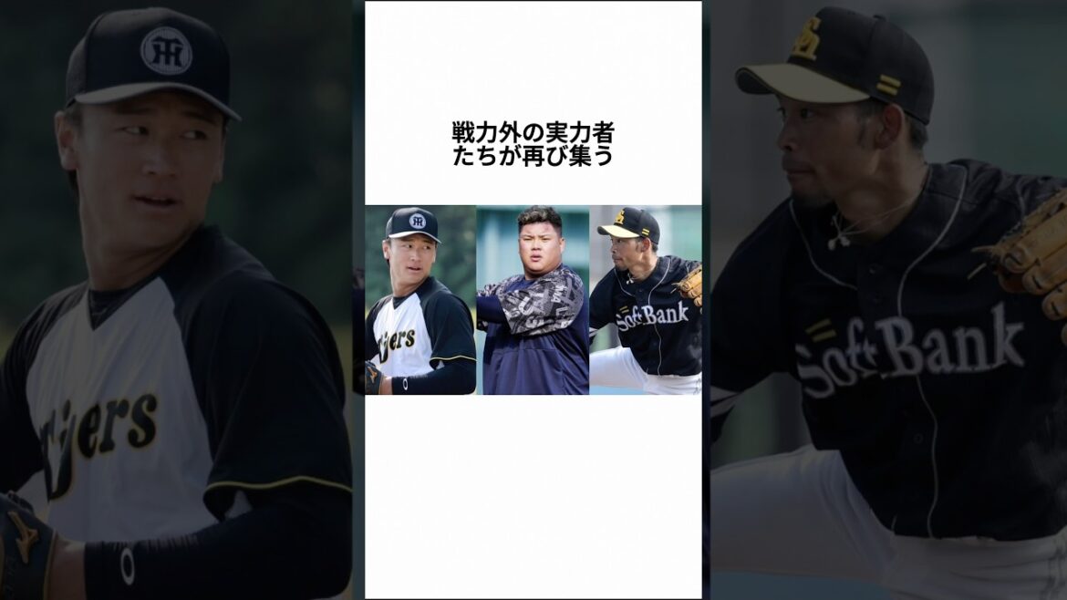 【運命のトライアウト】ドラ1森木、又吉、おかわり君２世…再起をかける実力者38人の「ラストチャンス」と獲得球団の行方#トライアウト#戦力外#森木大智#又吉克樹#渡部健人#プロ野球#NPB#再起