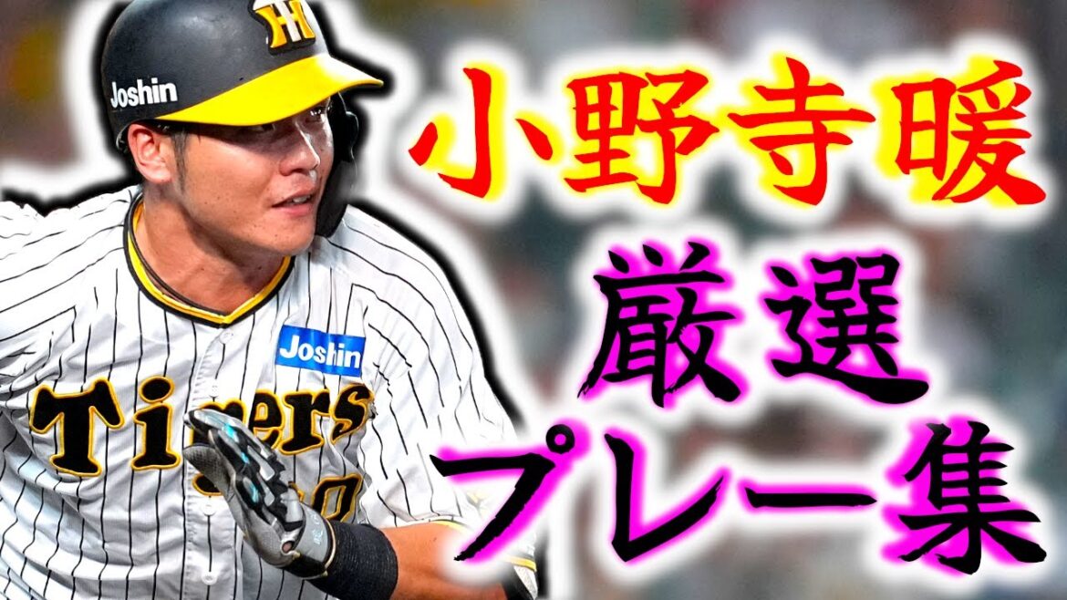 【育成出身の星】小野寺暖 厳選プレー集!! 活躍が期待される右の外野手!! 【育成出身の星】小野寺暖 厳選プレー集!! 活躍が期待される右の外野手!!