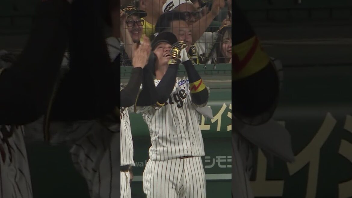 阪神タイガース THE OFFICIAL MOVIE2025ー栄光の虎道一 2025年11月14日(金)公開 #阪神タイガース#shorts #short #坂本誠志郎