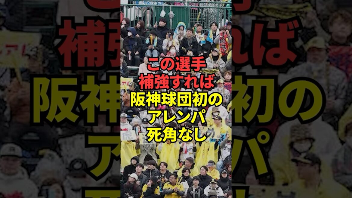 阪神タイガースが超大型の補強で来年も独走で最速優勝か! 阪神タイガースが超大型の補強で来年も独走で最速優勝か!