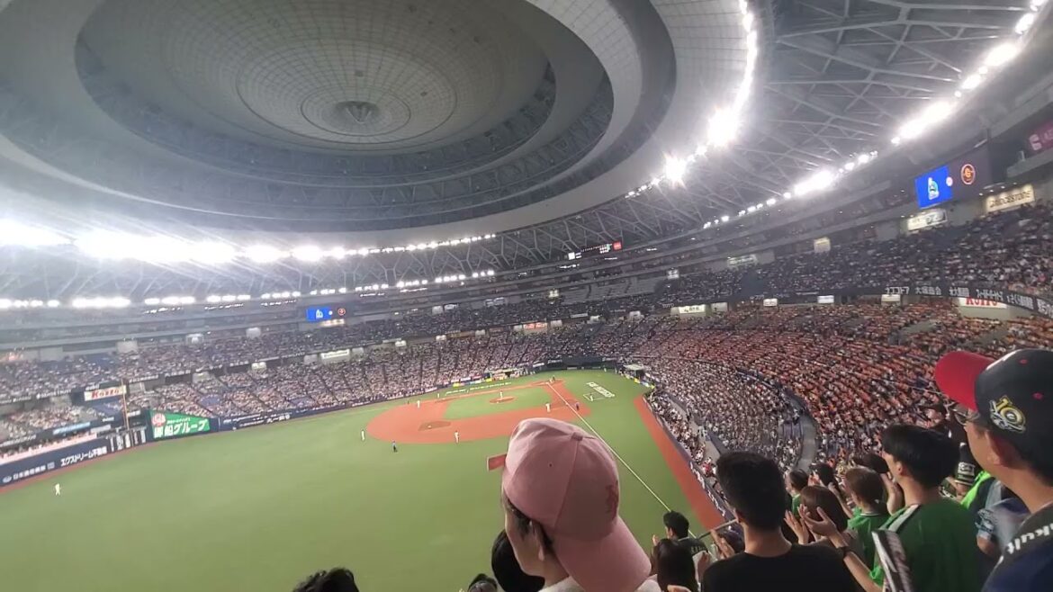 20250902　衝撃が突き刺さる♪【濱田太貴 応援歌】　1回表　東京ﾔｸﾙﾄｽﾜﾛｰｽﾞ@京ｾﾗﾄﾞｰﾑ大阪･ﾚﾌﾄ外野上段