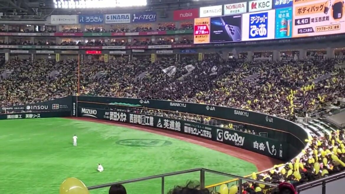 20250330【現地】岡大海が絶好調過ぎる… 7回表 千葉ロッテマリーンズ タイムリー2塁打【開幕3連戦を3タテ】@みずほPayPayドーム福岡・ライト外野 20250330【現地】岡大海が絶好調過ぎる… 7回表 千葉ロッテマリーンズ タイムリー2塁打【開幕3連戦を3タテ】@みずほPayPayドーム福岡・ライト外野