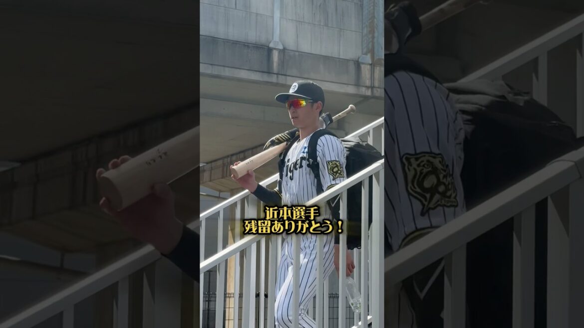 近本選手が阪神残留！めっちゃ嬉しいです！ #阪神タイガース #阪神 #近本光司 #阪神ファン #hanshintigers #プロ野球 #fa #残留 #淡路島 #プロ野球 #大山悠輔 #兵庫県