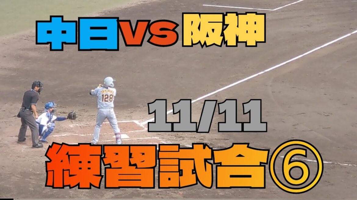11/11　中日ドラゴンズvs阪神タイガース　練習試合⑥#阪神タイガース #阪神 #プロ野球 #野球 #野球ニュース#秋季キャンプ #ショート #ショート動画 #キャッチャー #ピッチャー #守備