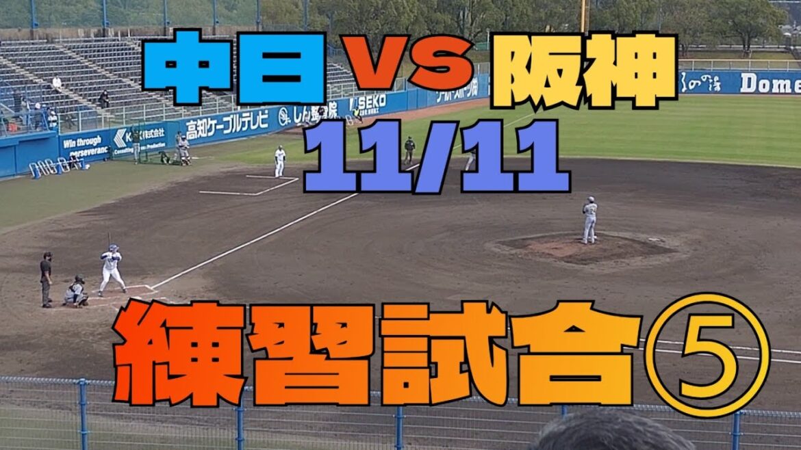 11/11　中日ドラゴンズvs阪神タイガース　練習試合⑤#阪神タイガース #阪神 #プロ野球 #野球 #野球ニュース#秋季キャンプ #ショート #ショート動画 #キャッチャー #ピッチャー #守備