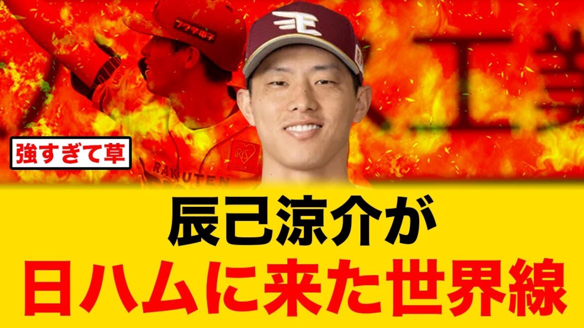 楽天・辰己涼介が、日本ハムに来た世界線があまりにも完成系すぎる【北海道日本ハムファイターズ】