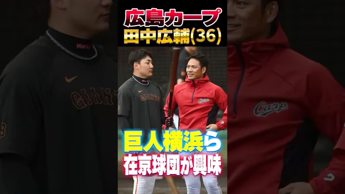 広島カープ田中広輔に巨人や横浜DeNAら在京球団が興味?#田中広輔 #巨人 #DeNA 広島カープ田中広輔に巨人や横浜DeNAら在京球団が興味?#田中広輔 #巨人 #DeNA