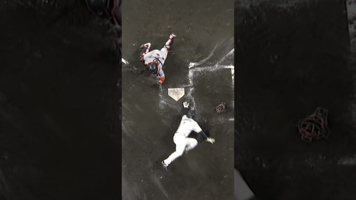 阪神タイガース THE OFFICIAL MOVIE2025ー栄光の虎道一 2025年11月14日(金)公開 #阪神タイガース#shorts #short #森下翔太 阪神タイガース THE OFFICIAL MOVIE2025ー栄光の虎道一 2025年11月14日(金)公開 #阪神タイガース#shorts #short #森下翔太