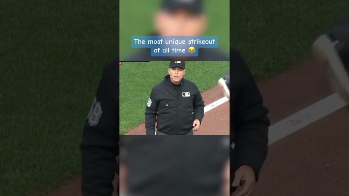 This was how Slade Cecconi got his first career strikeout π
This was how Slade Cecconi got his first career strikeout π