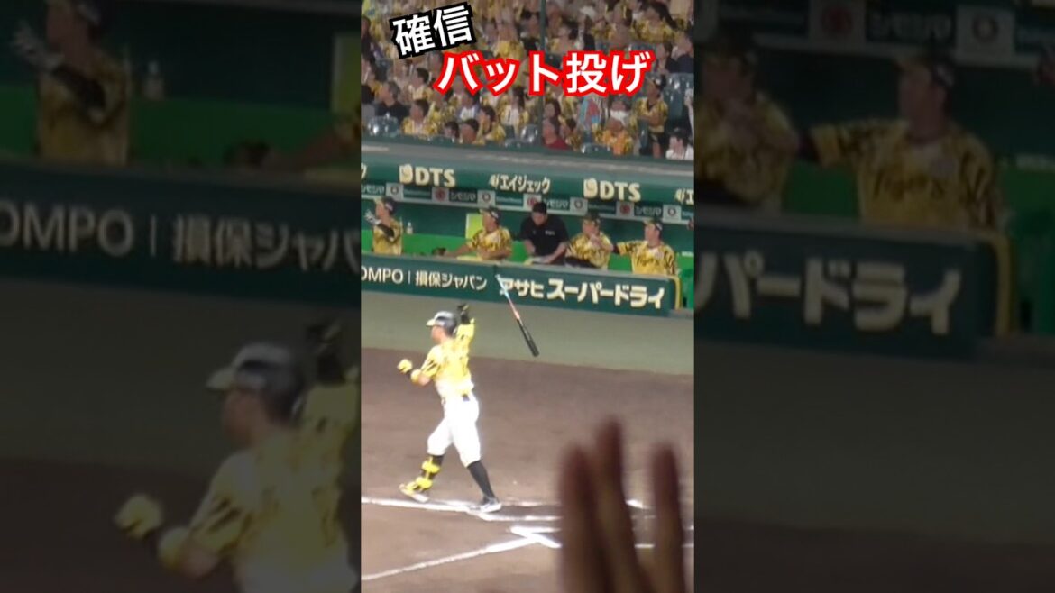 佐藤輝明 確信 バット投げ 24号ホームラン
