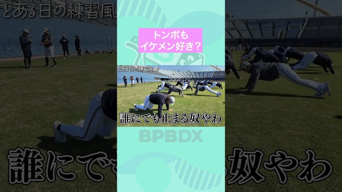 とある日の練習風景〜トンボもイケメン好き？〜 #吉田輝星 #山岡泰輔 #川瀬堅斗 #オリックス #shorts #BPBDX