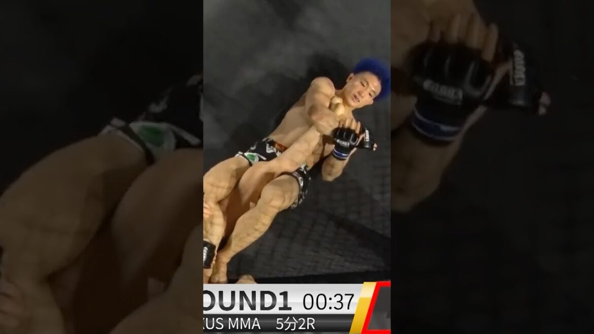 RIZIN参戦格闘家！チャンピオンに挑む！｜(王者)横山武司VS(挑戦者)須藤拓真｜Fighting NEXUSフェザー級タイトルマッチ 2025/11/22 #格闘技 #総合格闘技 #mma