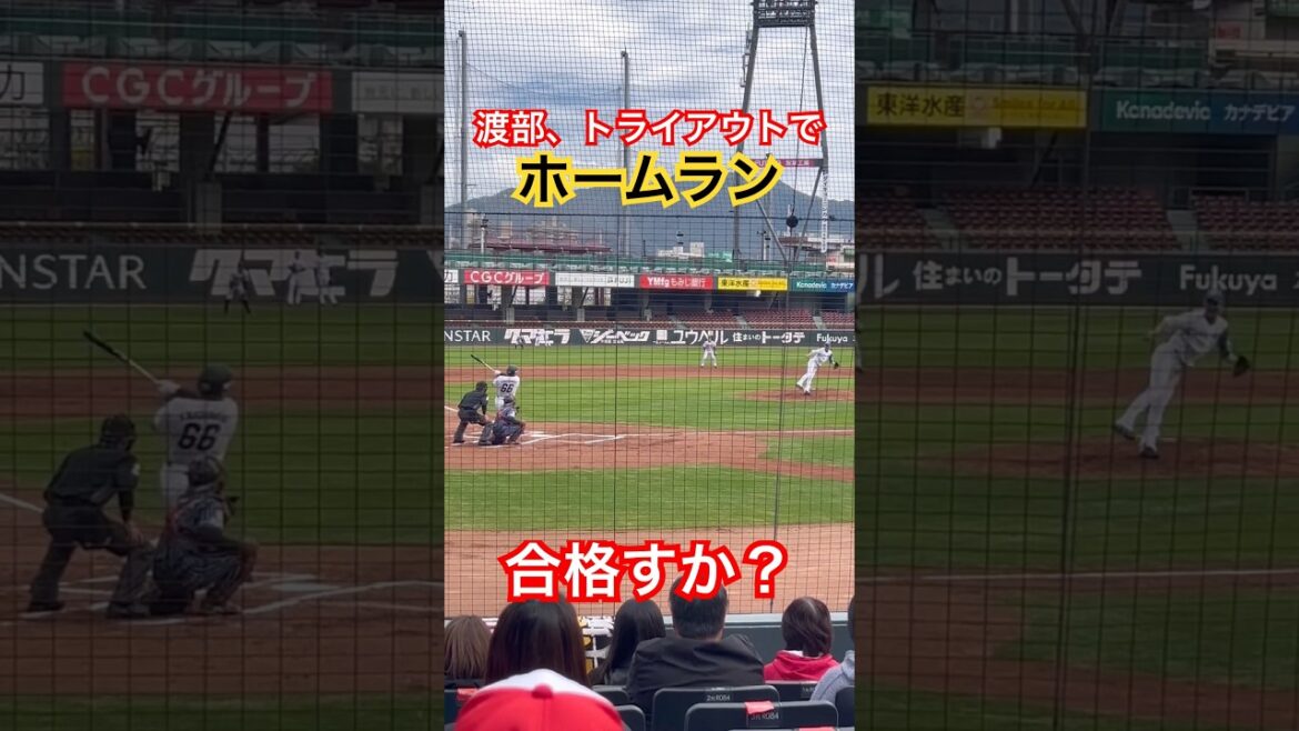 渡部健人、トライアウトでホームラン #渡部 #ホームラン #shorts