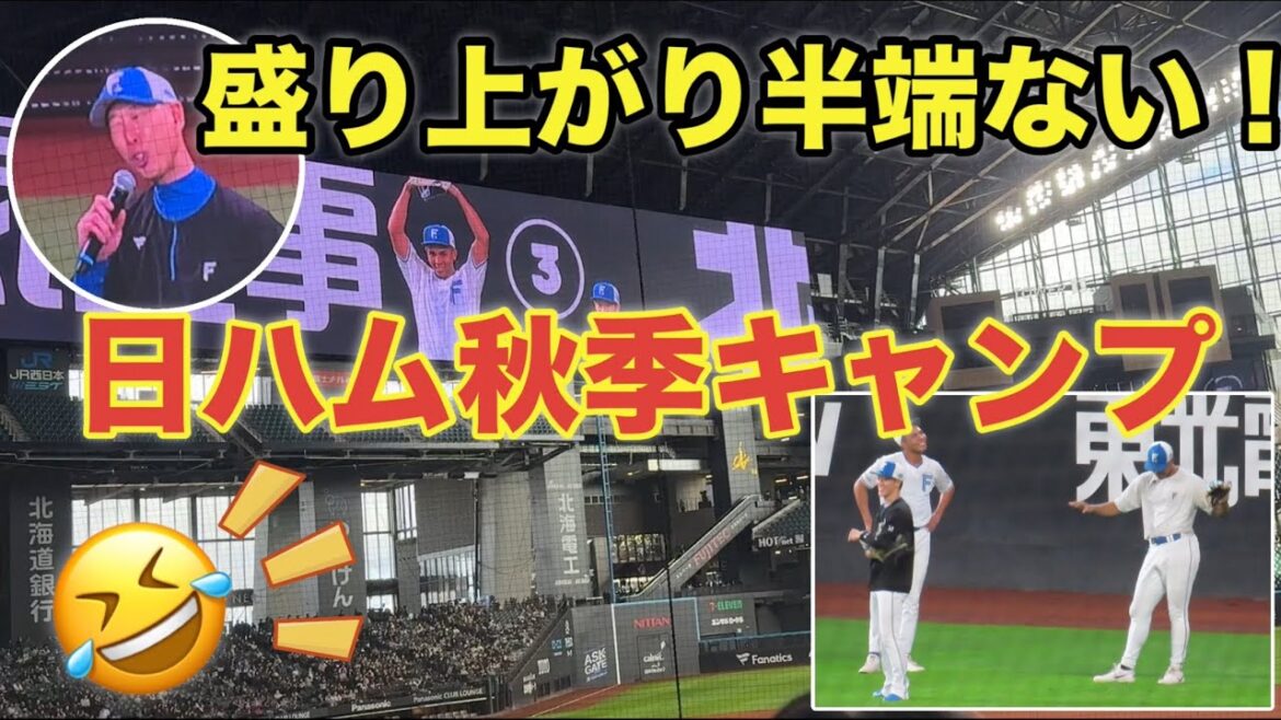 日ハムの秋季キャンプの森本コーチと外野３人組が面白過ぎでした！！😆