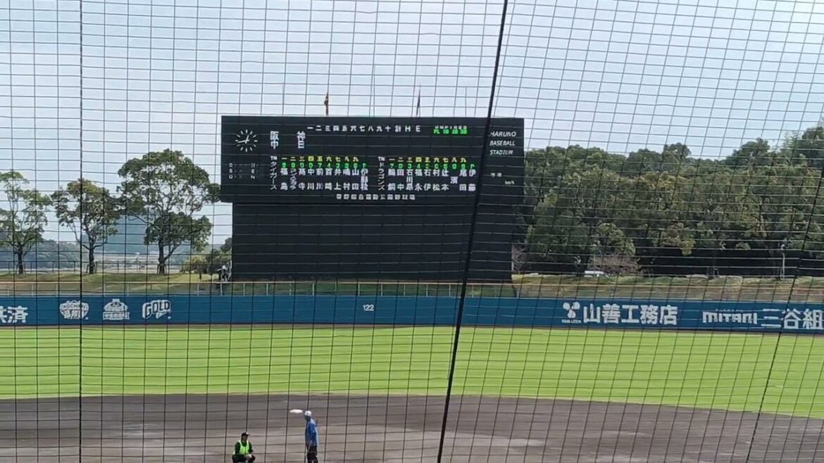 【プロ野球】秋季キャンプ　『中日vs阪神　練習試合　プレイボール前、両チーム　ベンチ』