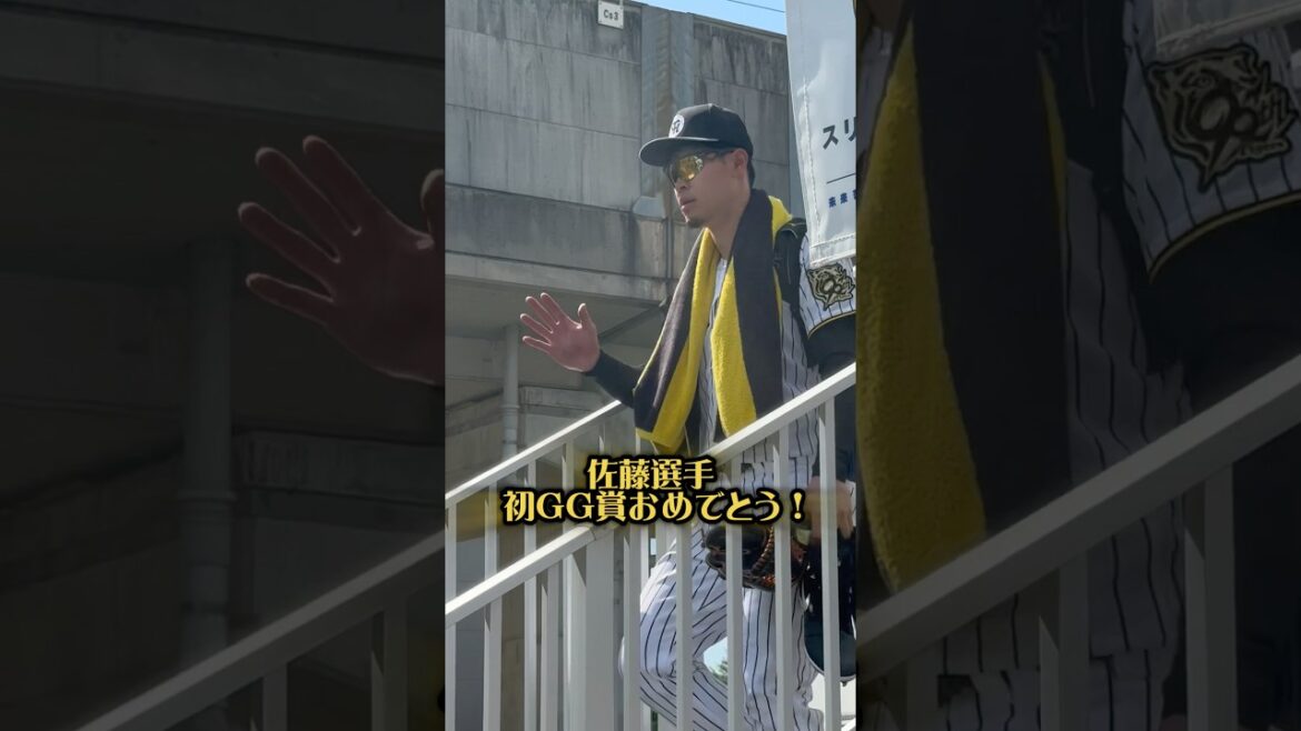 佐藤輝明選手が初のゴールデングラブ賞！ #阪神タイガース #阪神 #阪神ファン #佐藤輝明 #プロ野球 #野球 #ゴールデングラブ賞 #hanshintigers #守備 #守備練習 #サード