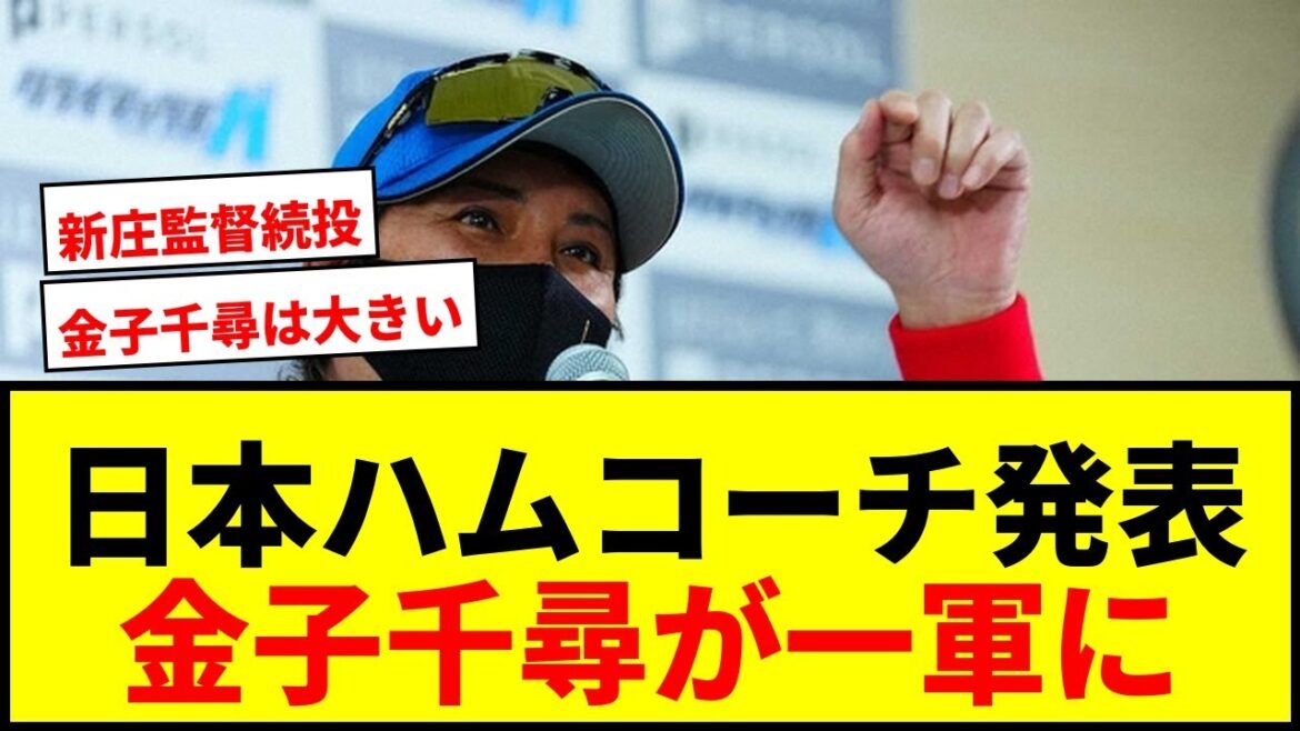 【速報】日本ハム2026年コーチングスタッフ発表！金子千尋＆佐藤友亮が一軍帯同でファン歓喜