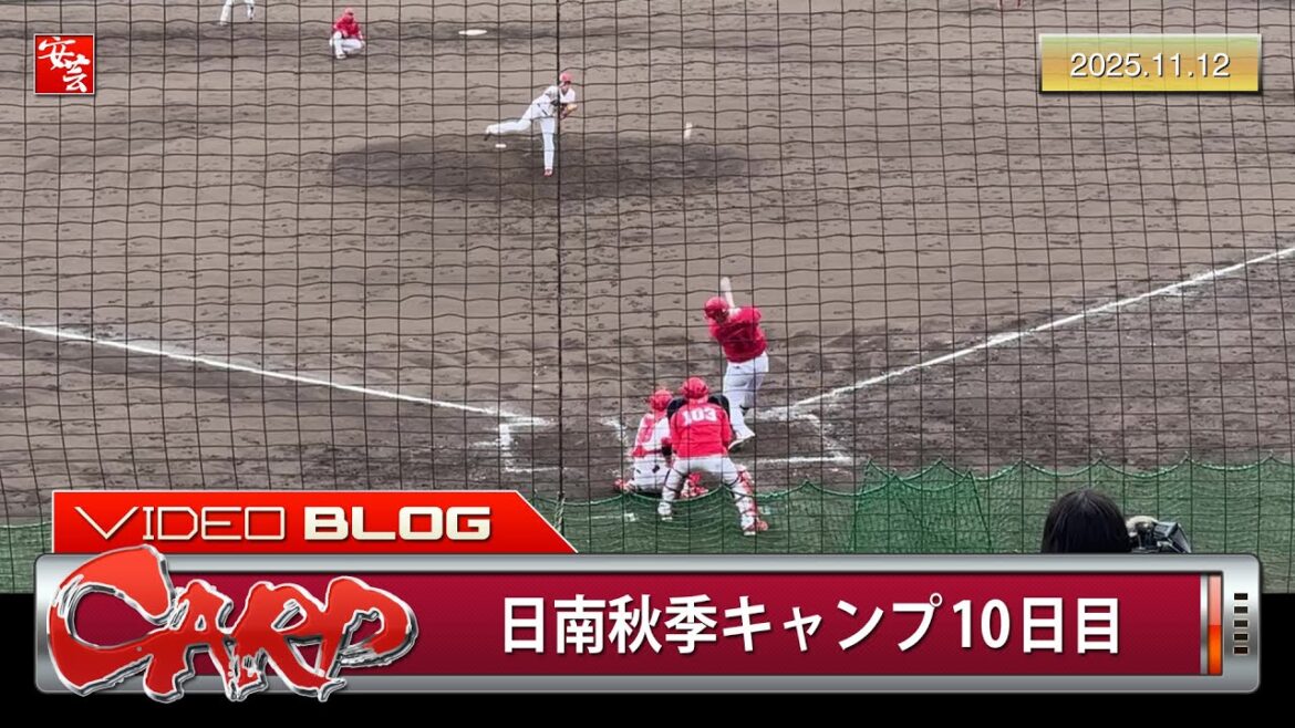 【カープ】日南秋季キャンプ第3クール最終日、紅白戦で坂倉将吾4安打3打点。打者全ヒット収録（2025年11月12日）