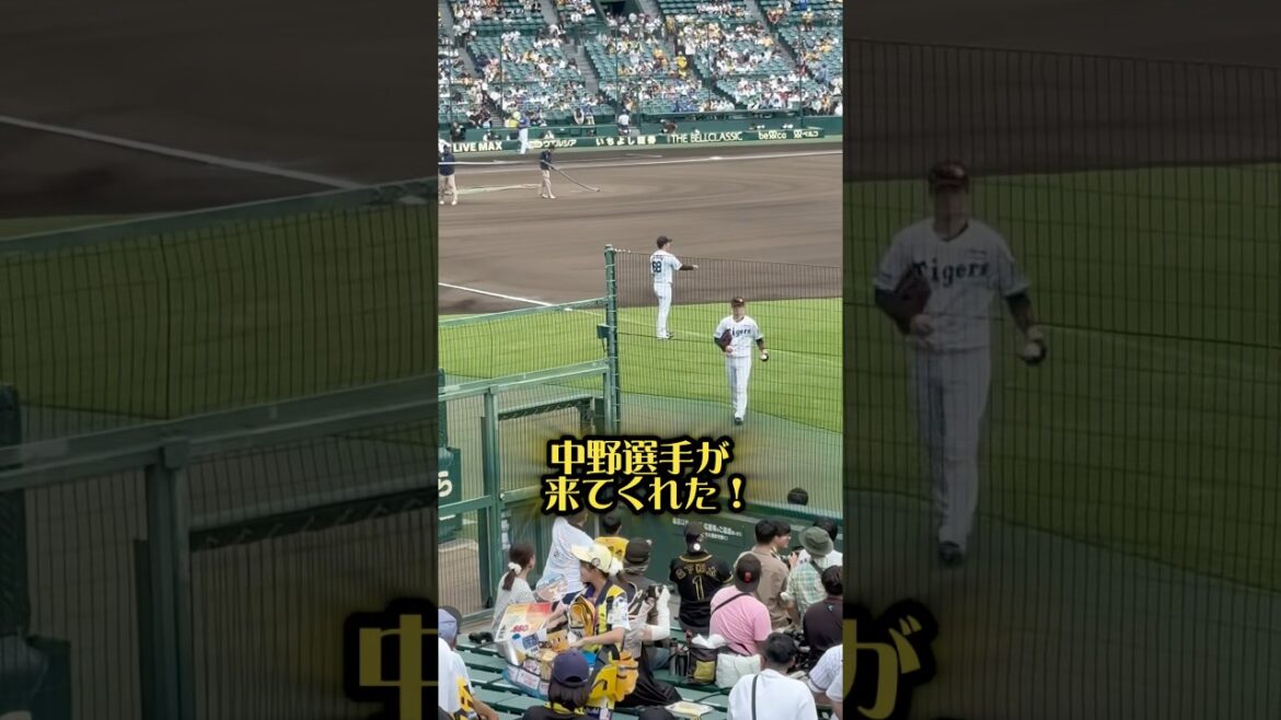 中野選手が来てくれた！25/9/28 #阪神タイガース #阪神 #阪神ファン #中野拓夢 #山形 #hanshintigers #日大山形 #阪神甲子園球場 #野球少年 #プロ野球 #ファンサービス