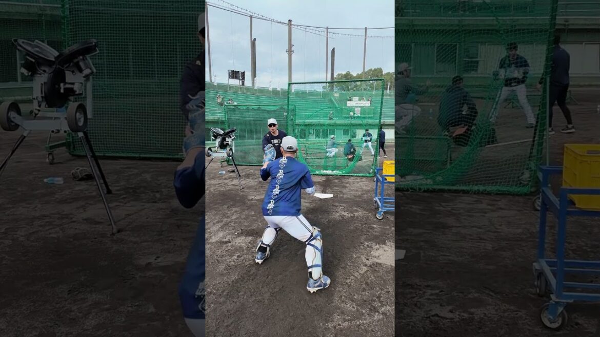 【秋季キャンプ】森選手の個別練習 #森友哉 #オリックス #shorts