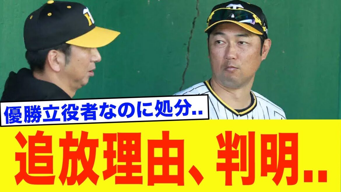 金村暁投手コーチ、阪神追放理由がとんでもなかった…【プロ野球】 金村暁投手コーチ、阪神追放理由がとんでもなかった...【プロ野球】