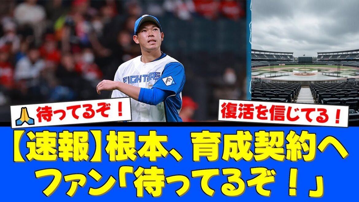 【衝撃】侍ジャパン選出の逸材、根本悠楓がまさかの戦力外通告。左肘手術からの復活を期す育成契約にファンから「必ず戻ってこい」と温かい声援が殺到。【プロ野球ファンの反応】
