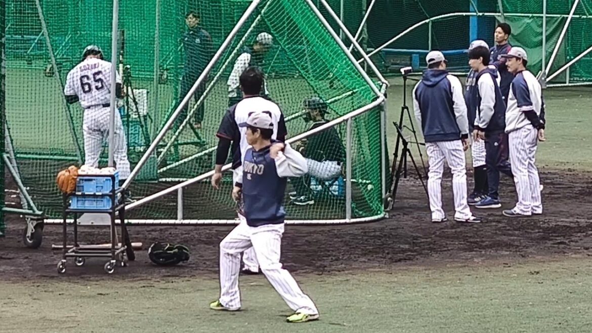 2025年東京ヤクルトスワローズ秋季キャンプ 坊っちゃんスタジアム 11/13松山中央公園