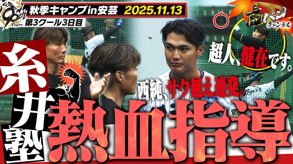 【11月13日秋季キャンプ】糸井イズムで西純打ちまくり！？途端にアーチ連発！！阪神タイガース密着！応援番組「虎バン」ABCテレビ公式チャンネル