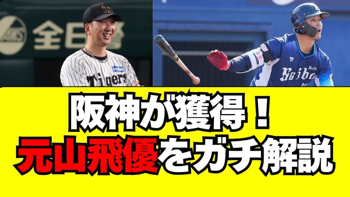 阪神が獲得した元山飛優をガチ解説！これ1本で全てわかる