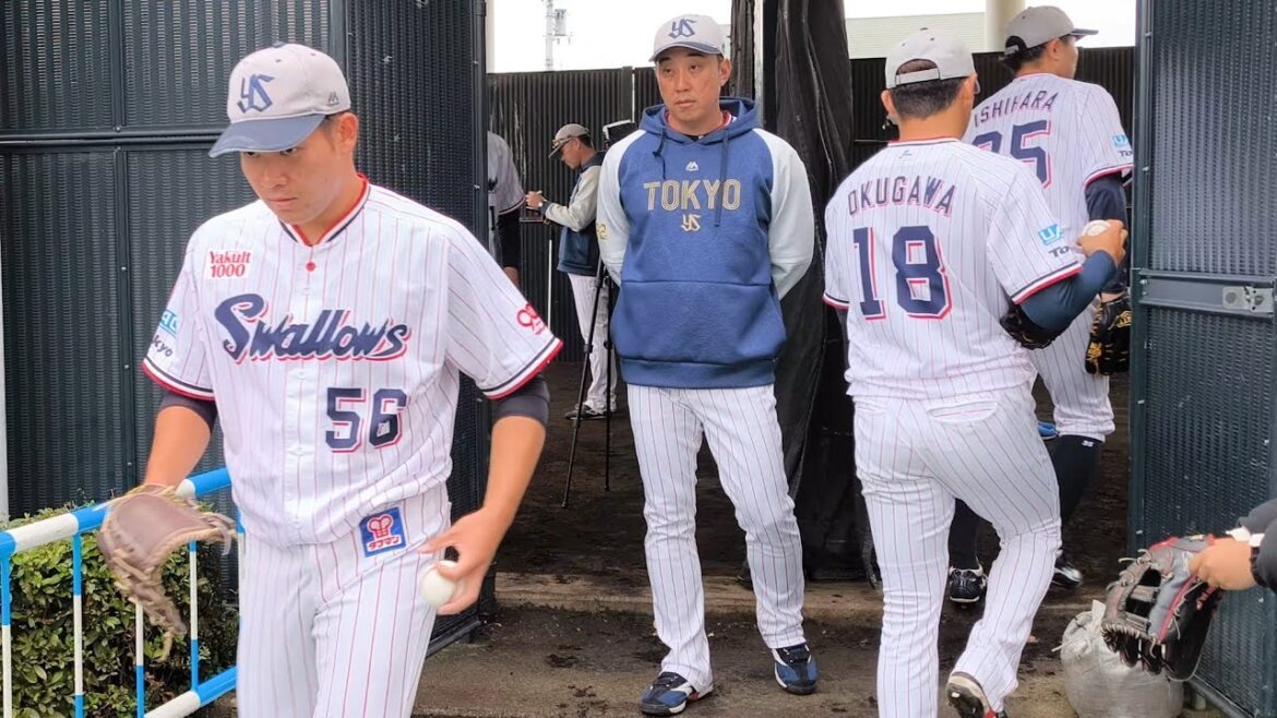 2025年東京ヤクルトスワローズ秋季キャンプ 11/13松山中央公園